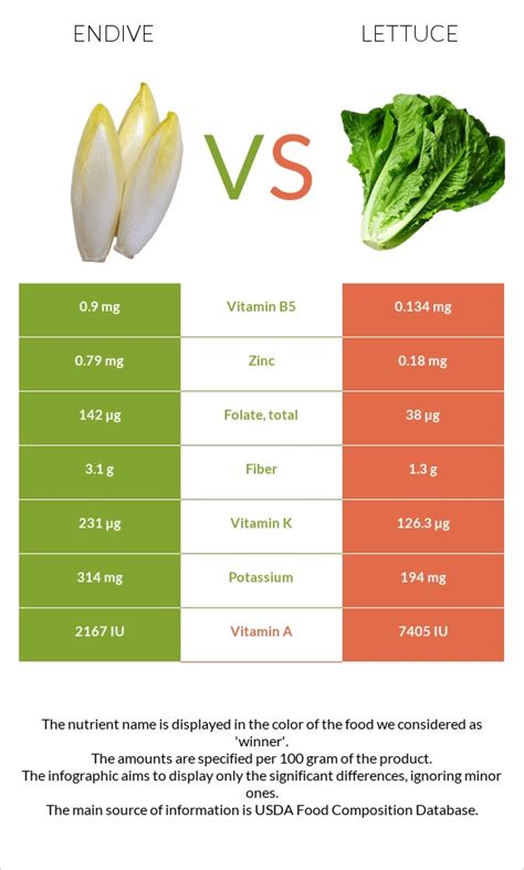 Types Of Endive Lettuce Belgian And French Endive