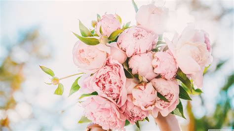 Light Pink Peonies Bouquet Wallpapers Wallpaper Cave