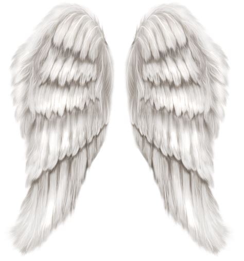 White Angel Wings Transparent Png Clip Art Image Gallery Yopriceville