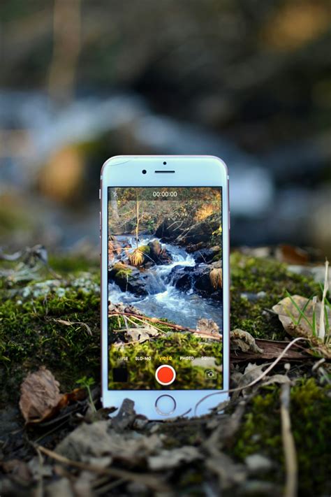 Cell Phone Nature Pictures Download Free Images On Unsplash