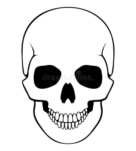 Human Skull Tattoo Vector Illustration Stock Vector Illustration Of