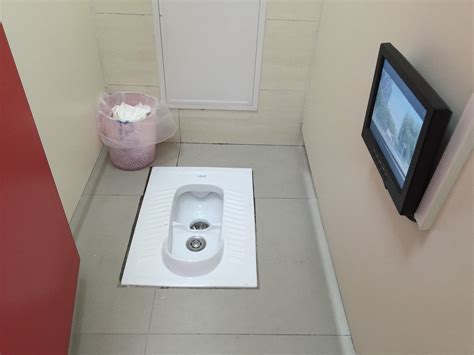 World Toilet Day China Aims To Bring The WC Closer To The Web World Toilet Day Toilet China