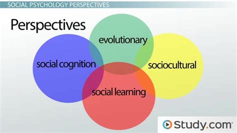 Social Approach In Psychology Perspectives And Examples Lesson