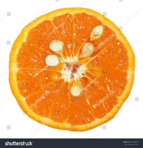 412411 Orange Seed Images Stock Photos And Vectors Shutterstock