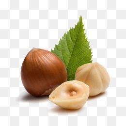 Hazelnut Nuts Hd Transparent Leaves And Nuts Hazelnuts Hazelnut
