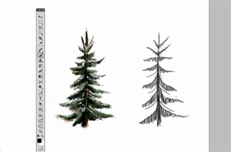 Draw A Pine Tree In Photoshop Youtube