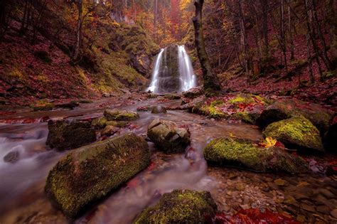 Landscape Waterfall Nature Creeks Rocks Moss Fall Fallen Leaves