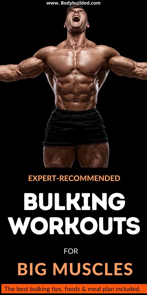 How To Bulk Up Fast At Home The Only Bulking Guide You Need Artofit