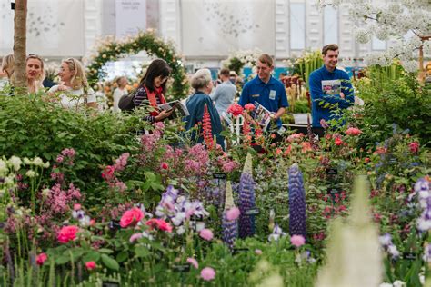 Rhs Chelsea Flower Show Goes Virtual For The First Time Ever