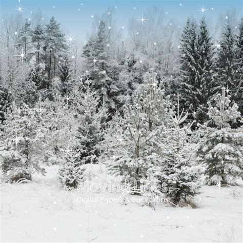 Christmas Backdrop Snowy Winter Trees Snow Baby Photography Etsy In