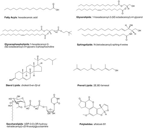 Lipid Maps Lipidomics Gateway