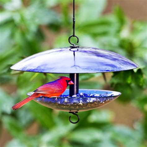 Our quality bird feeder weather domes protect hanging bird feeders from sun, wind, rain and snow. Baffle Dome Bird Feeder | Glass bird feeders, Best bird ...