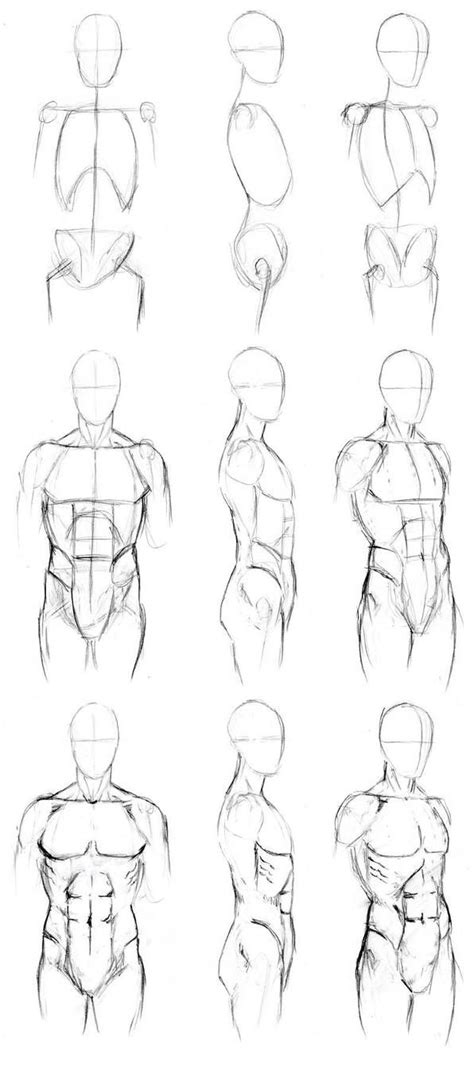 Basic Male Torso Tutorial By Timflanagan Drawing People Body