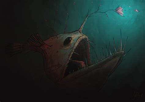 Anglerfish Wallpapers Top Free Anglerfish Backgrounds Wallpaperaccess