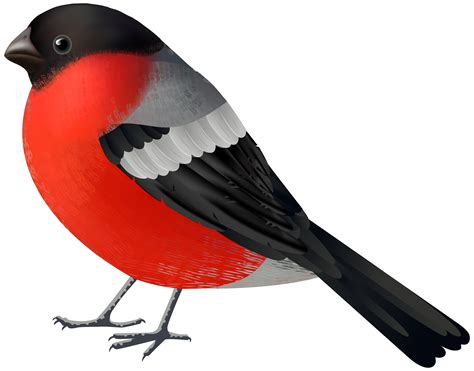 Red Black Bird Png Clip Art Best Web Clipart