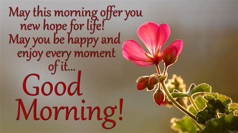 100 Beautiful Good Morning Quotes Wishes And Messages 2022