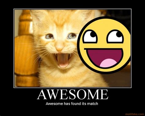 Awesome Cat Quotes Quotesgram