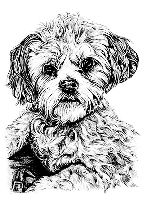 Dog Coloring For Kids Dogs Kids Coloring Pages