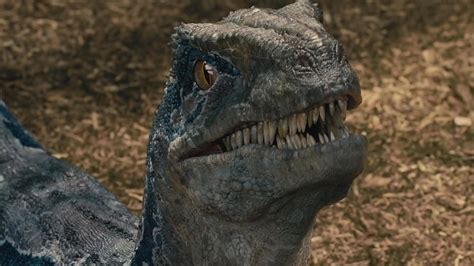 Movie News First Look At Chris Pratt And Blue The Raptor In Jurassic