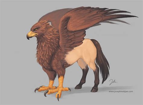 Hippogriff Josephine Kjær Mythical Creatures Fantastic Beasts Bestiary