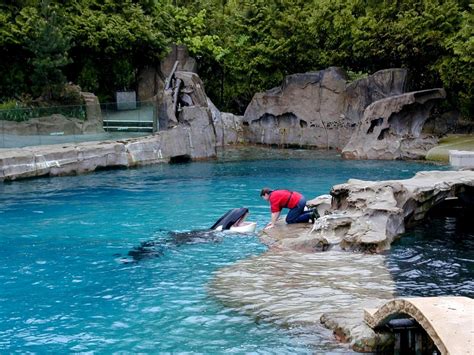 The vancouver aquarium is a public aquarium located in stanley park in vancouver, british columbia, canada. DOT CD11 Canada, British Columbia - Vancouver Aquarium ...