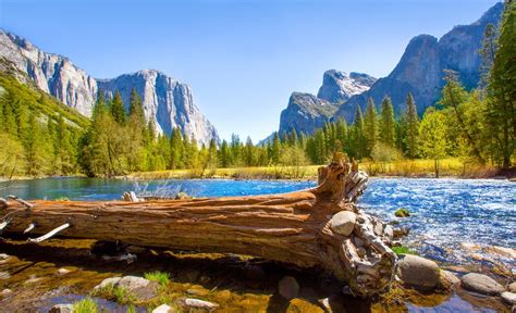 Advance reservations are available for lodgepole and. RV Camping in Sequoia National Park - Cruise America