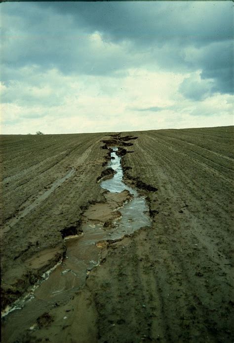 An Actively Eroding Rill On An Intensively Farmed Field In Eastern