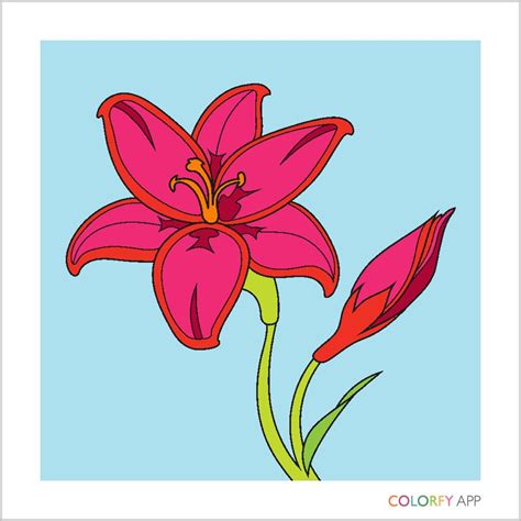 Pin By Keely Stevenson On Colorfy Art Coloring Book App Colorfy