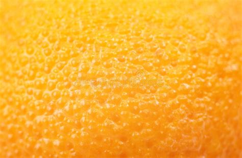 Peau Dorange Photo Stock Image Du Detail Citron Fruit 17654528