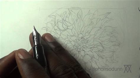 Go slowly and test your pen frequently. Pen & Ink Drawing Tutorials | How to draw a dahlia flower ...