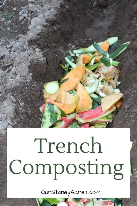 Trench Composting The Lazy Mans Composting Method Our Stoney Acres