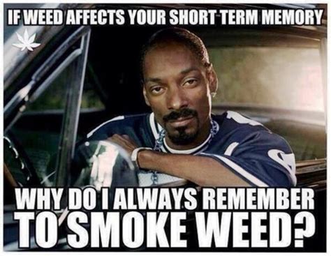 70 Bombshell Weed Memes Funny Pictures