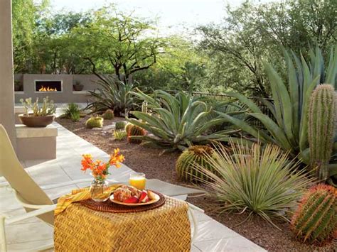 How To Give Your Desert Backyard Southwestern Flair The Garden Glove