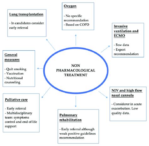 Summary Of The Main Non Pharmacological Treatment Ecmo Extracorporeal