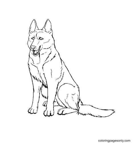 Cute German Shepherd Puppy Coloring Pages Free Printable Coloring Pages