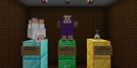 All Name Tag Easter Eggs In Minecraft 119