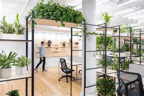 Cactus Creates Biophilic Nest Offices In The Heart Of Manhattan