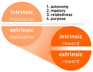 Let's add two kinds of rewards, extrinsic and intrinsic. Intrinsic vs. Extrinsic Rewards (and Their Differences ...