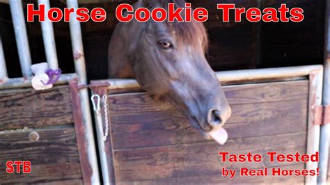 Diy Horse Treats Without Oats Cosmo S Carrot Crunch Cookies Horse