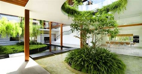 Amazing Artistic Tree Inside House Interior Designs