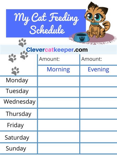 Printable Kitten Feeding Chart Printable World Holiday