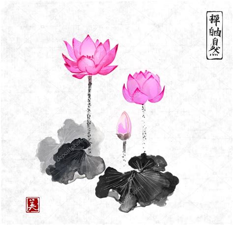 Traditional Japanese Ink Lotus Flowers Stock Vector Image By