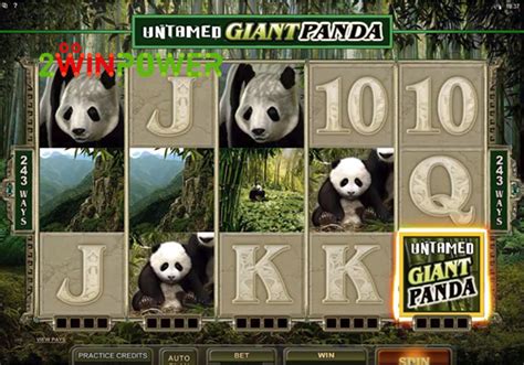 Untamed Giant Panda By Microgaming Buy Html5 Slot 2winpower