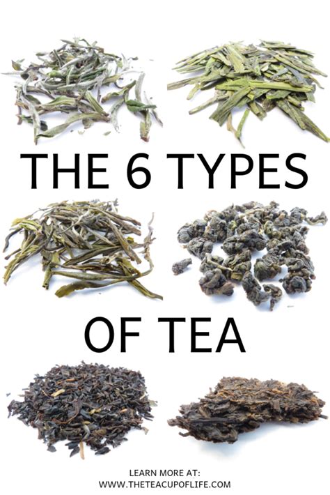 The 6 Different Types Of Tea The Cup Of Life