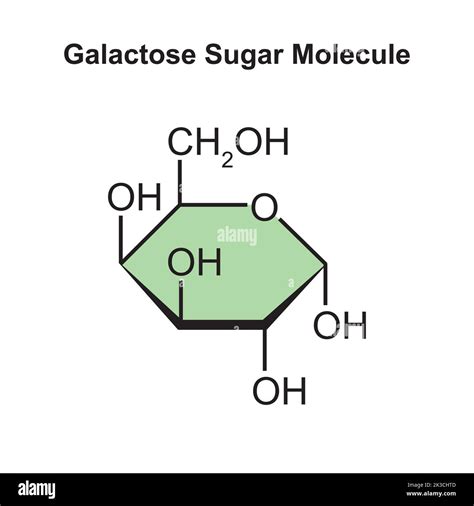 Chemical Illustration Of Galactose Sugar Molecule Vector Illustration