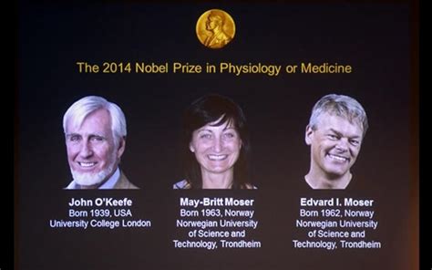 El Nobel De Medicina 2014 Es Para Los Descubridores Del Gps Cerebral Coordinación De
