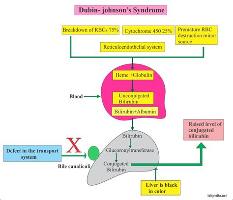 Síndrome De Dubin Johnson