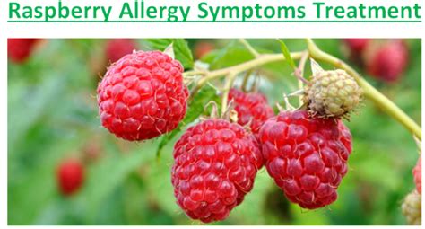 Raspberry Allergy Symptoms Treatment Fruits Facts