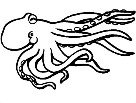 Octopus Coloring Pages Coloringbay