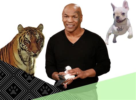 Mike Tyson From Celebrities With Lots Of Pets E News
